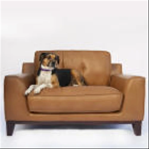 HAVERTYS PARTNERS WITH ATLANTA ANIMAL SHELTER TO GIVE PUPS FUREVER HOMES
