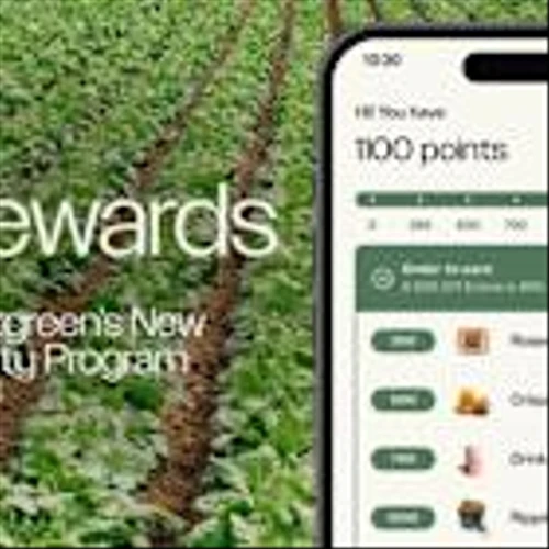 Sweetgreen Rolls Out SG Rewards, Enhancing the Guest Experience with Points, Perks, and Free Ripple Fries™