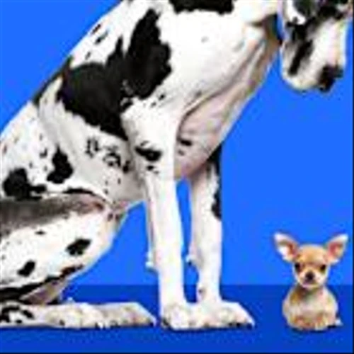 The Small-Cap Revival May Just Be Starting. These Funds and Stocks Are Worth Owning.