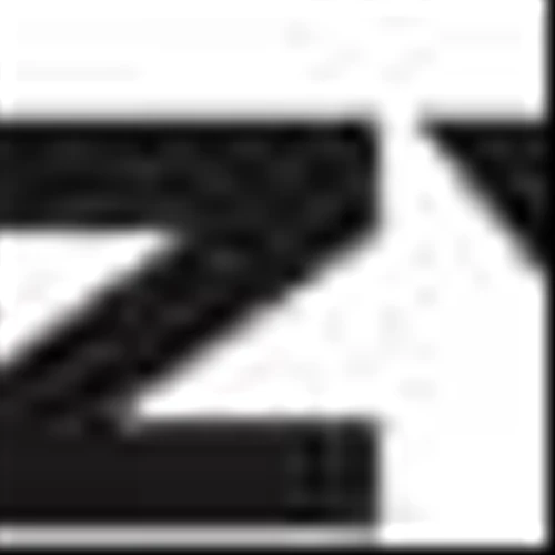 LAZYDAYS HOLDINGS, INC. ANNOUNCES LEADERSHIP TRANSITION