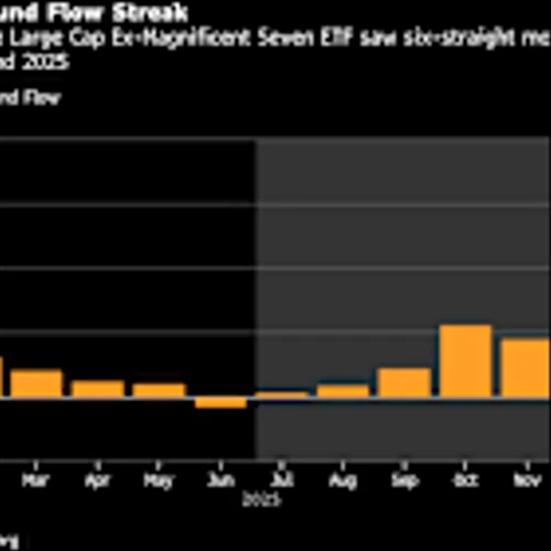 AI ‘Fatigue’ Leaves Investors Focused on S&P’s Other 493 Stocks
