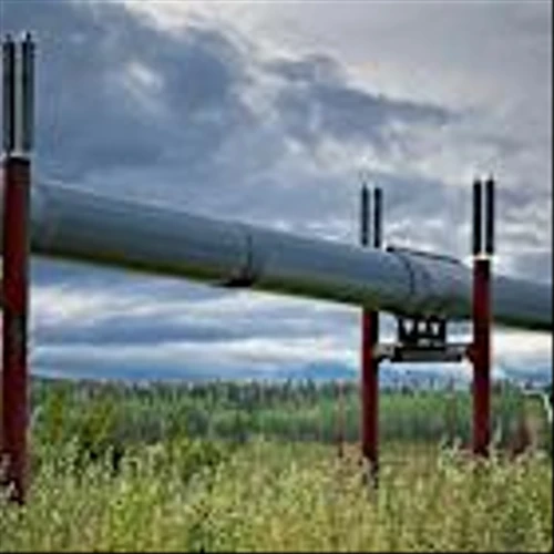 Trump administration lifts curbs on oil and gas drilling in Alaska reserve