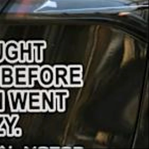 This guy makes over $100,000 a month selling anti–Elon Musk stickers for Teslas