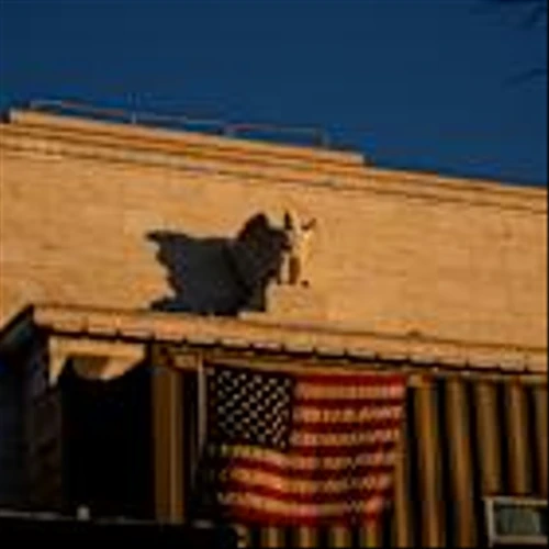 The Fed Did Banks a Solid This Week. More Favors May Be Needed