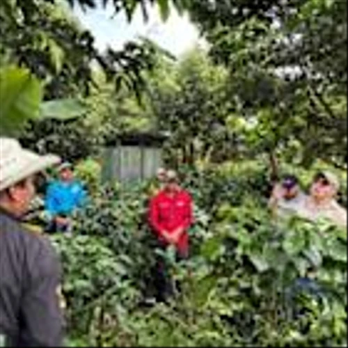 Building a Climate-Smart Coffee Region in Western Honduras