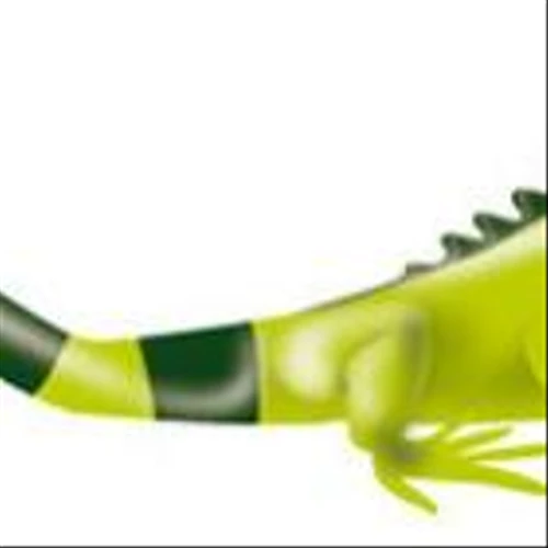 Ecopetrol Extends Temporary 50% Fee Reduction Agreement for ADR Conversion in the United States