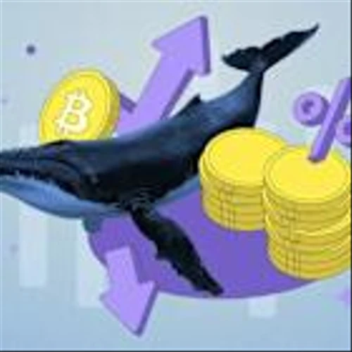 Altcoin ETFs Are Coming—But Don’t Expect Bitcoin-Level Success