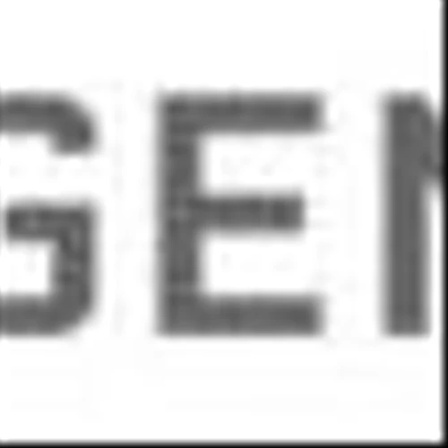 Argenta Announces Mobilization for 2025 Drilling Program at El Quevar Project and appoints Vanessa Bogaert as VP of Investor Relations and Communications