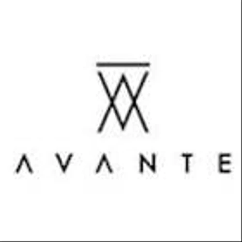 AVANTE CORP. ANNOUNCES CHANGES TO BOARD OF DIRECTORS
