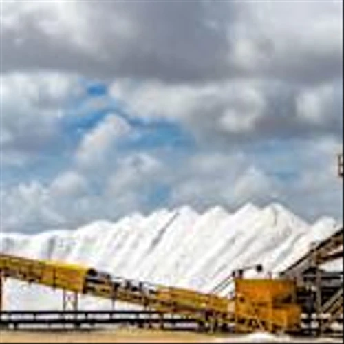 MP Materials (MP) Surges 247% Over Last Quarter Amid Market Optimism