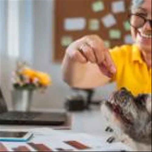 Retired but Want Extra Cash? Try These 9 Easy Jobs That Pay Surprisingly Well