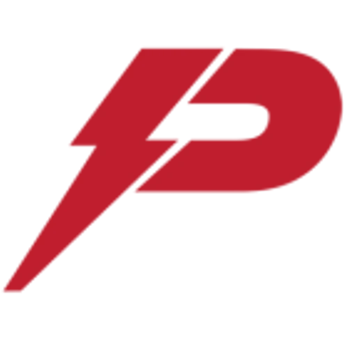 Pioneer Power Solutions Inc (PPSI) Q3 2024 Earnings Report Preview: What To Expect