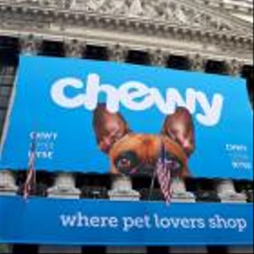 3 Promising Stocks to Buy in the Booming Pet Tech Industry