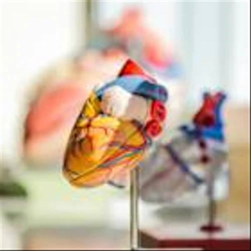 Tonix’s TNX-1500 Shows Promise in Preventing Organ Transplant Rejections of Either Human or Pig Organs; Autoimmune Diseases Also a Target