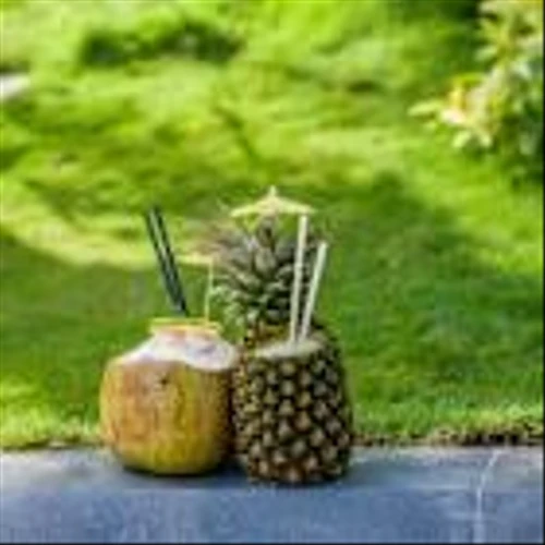 The Vita Coco Company, Inc. (COCO): A Bull Case Theory