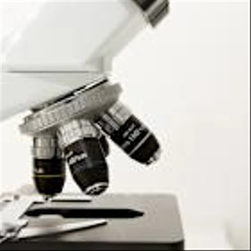 Novartis (NVS) Enters $1.7 Billion Development Deal, Says Report