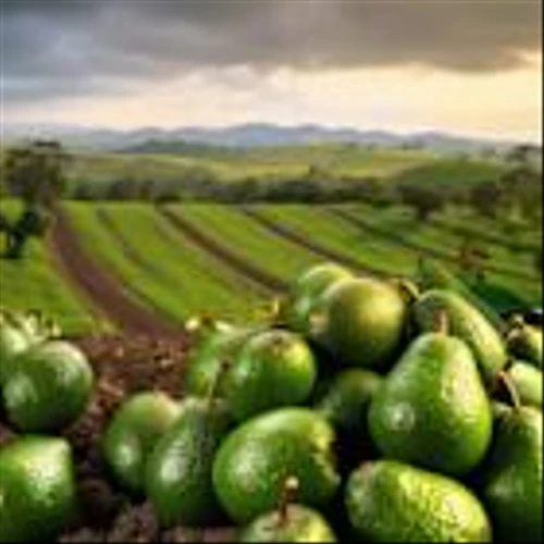 Here’s What Would Be Fruitful for Calavo’s (CVGW) Earnings Potential