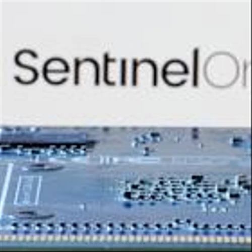 SentinelOne raises annual revenue forecast on strong cybersecurity demand
