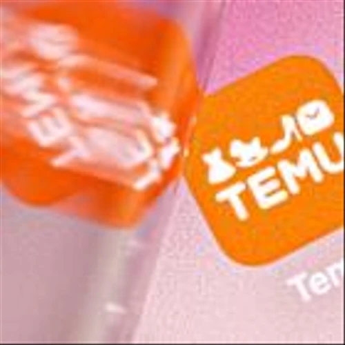 Temu Ditches Chinese Imports Model to Avoid Trump’s Tariffs