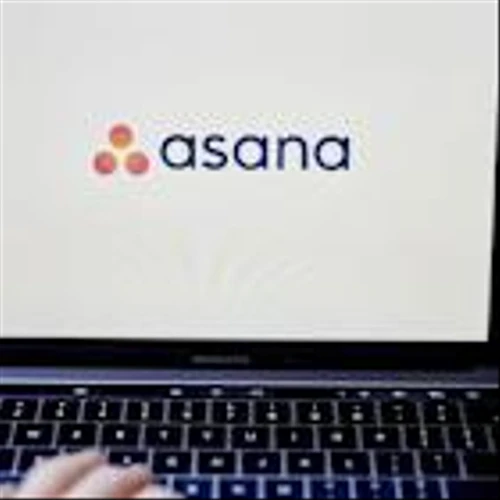 Asana Stock Plunges After Earnings. Blame ‘More Than Just Inflated Expectations,’ Analysts Say.