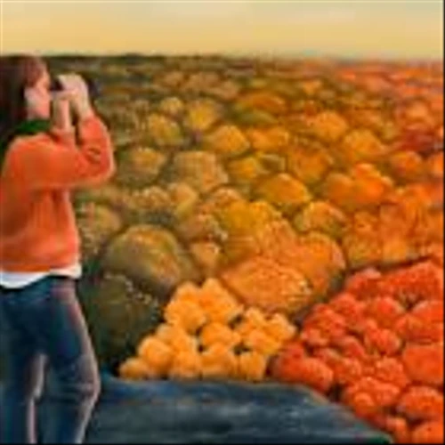 Fall Should Be Colorful. The Stock Market Outlook Calls for Bargain Buys and More Gains.