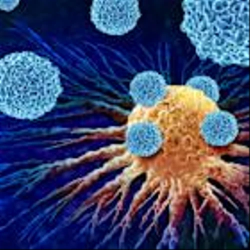 ANGO Expands NanoKnife in Europe for Multi-Organ Tumor Ablation