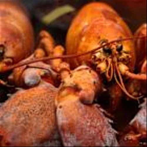 The Case of the $400,000 Massachusetts Lobster Heist