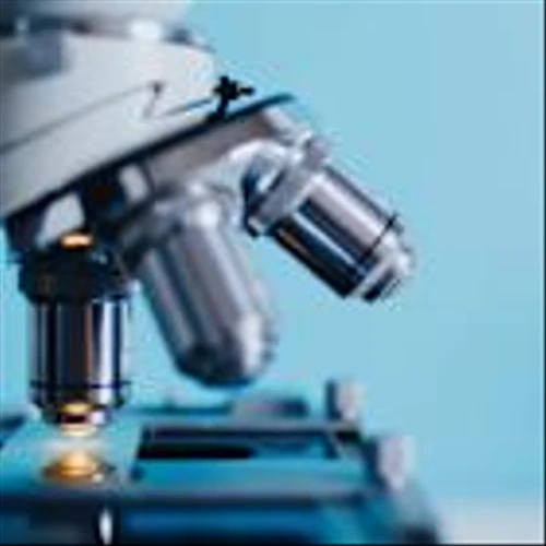 Becton, Dickinson and Company (BDX): A Bull Case Theory