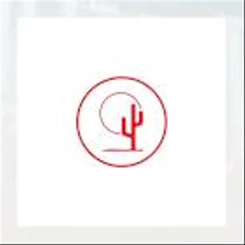 Cactus Q4 Earnings Call Highlights