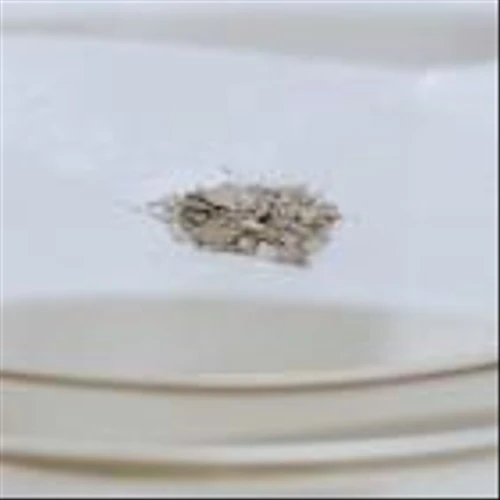 Rare-Earths Stocks Are Up. The Focus Is on Australia, and Trump.