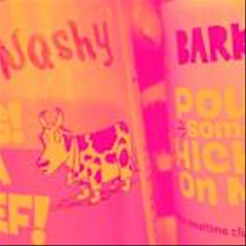 Why Bark (BARK) Stock Is Up Today