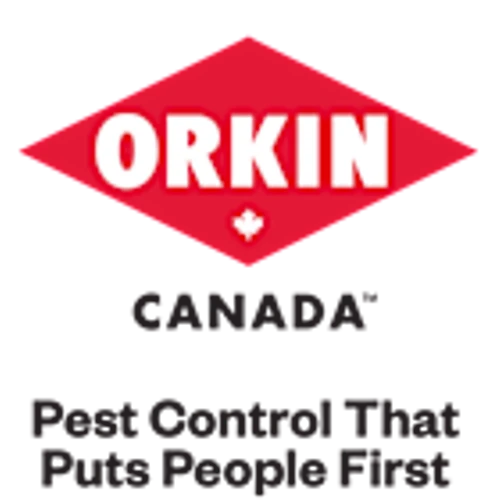 Sniffing out rodents, one paw at a time: Orkin Canada launches K9 detection service in Vancouver