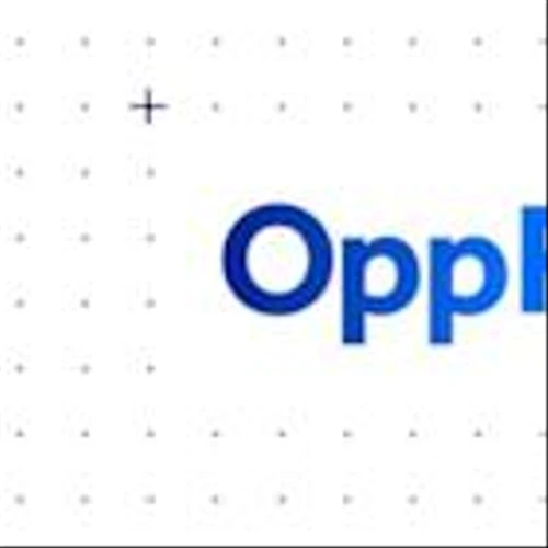 Stonegate Capital Partners Updates 4Q24 Report on OppFi, Inc. (OPFI)