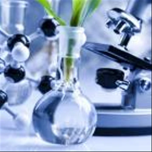 Zevra (ZVRA) Rises on Update on Niemann-Pick Disease Type C Drug