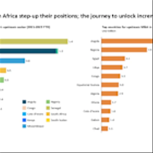 Oil and Gas Consolidation Reshapes African Market