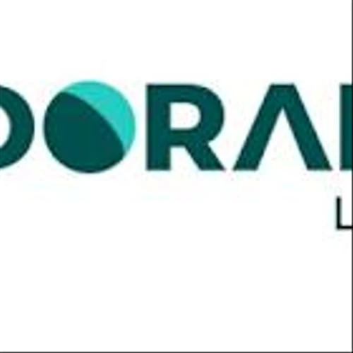 Nick Cohen, Doral Renewables' CEO, Honored by Goldman Sachs as one of the Most Exceptional Entrepreneurs at the 2025 Builders and Innovators Summit