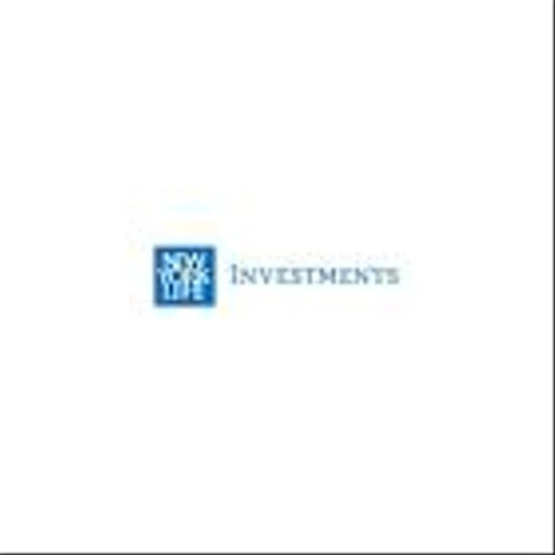 NYLI CBRE Global Infrastructure Megatrends Term Fund (NYSE: MEGI) Declares Availability of Section 19(a) Notice for February 2026