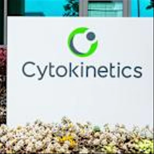 Why Edgewise Therapeutics And Cytokinetics Stocks Just Diverged