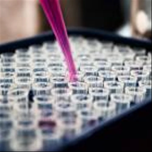 Why ABIVAX Société Anonyme (ABVX) is the Best All-Time Low Stock to Buy Right Now?