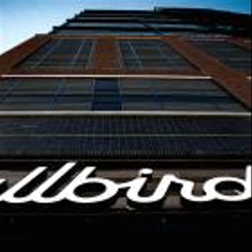 Store closures a factor in Allbirds Q2 sales nosedive