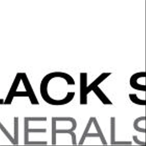 Black Stone Minerals, L.P. Announces Shelby Trough Operational Update