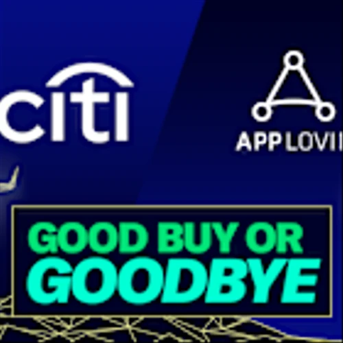 Citigroup is undervalued, AppLovin is overvalued: Analyst