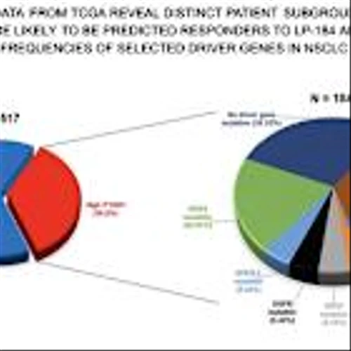 Lantern Pharma Secures FDA Clearance for Planned Phase 1b/2 Trial of LP-184 in Biomarker-Defined, Treatment-Resistant NSCLC Patients with High Unmet Clinical Need