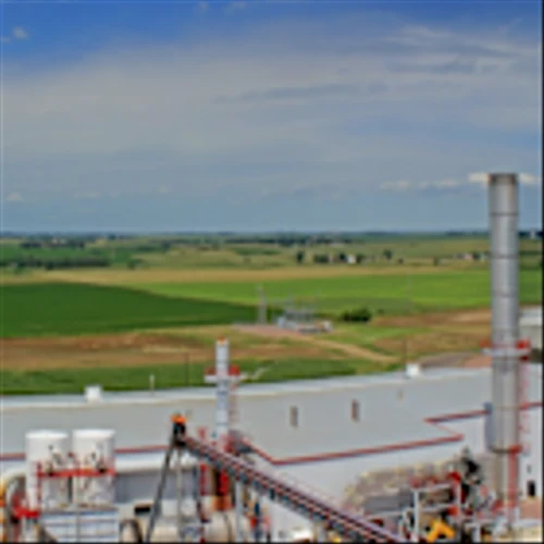 Rex 4Q Beats Top and Bottom Line, Expanded Capacity Set to Drive Growth – Quarterly Update Report