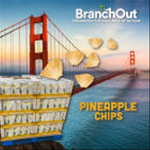 BranchOut Food Launches in the Bay Area Region of the Nation’s Largest Warehouse Club