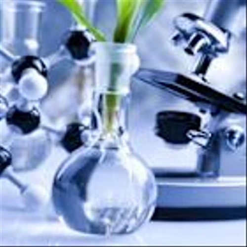 KYMR Skyrockets 82.4% in a Year: More Upside Potential in 2026?