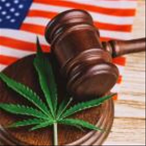 Cannabis industry: DEA reclassification is a 'critical first step'