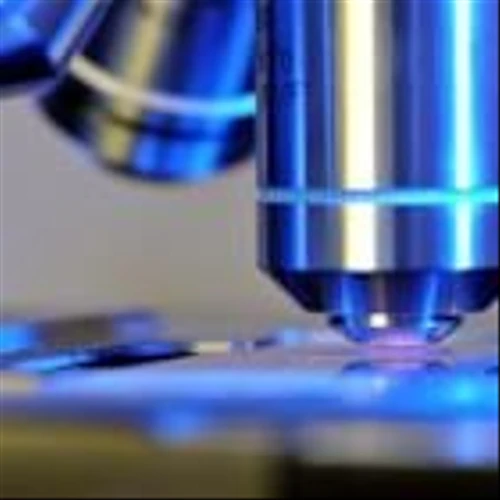 CRMD vs. MIRM: Which Specialized Biotech Stock is the Better Pick?