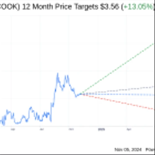 Earnings To Watch: Traeger Inc (COOK) Reports Q3 2024 Result