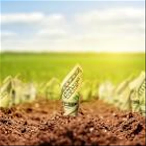 Bitfarms vs. Robinhood: The Better Growth Story